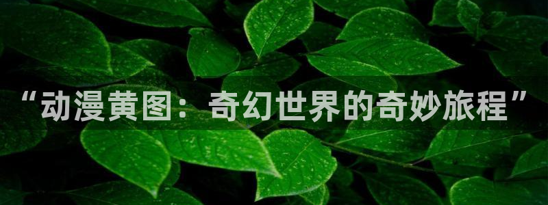 58动漫网手机