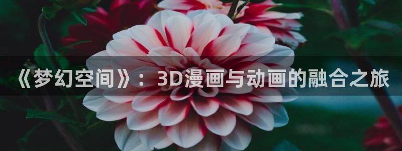 58动漫网的网址