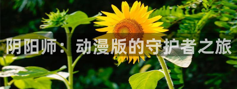 58动漫网手机：阴阳师：动漫版的守护者之旅